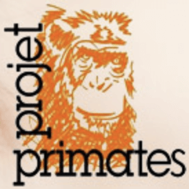Projet Primates