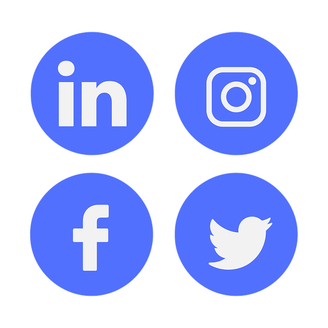 You are currently viewing Atelier Réseaux sociaux : LinkedIn et Twitter, les basiques