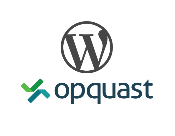 You are currently viewing Améliorer le référencement et la qualité de votre site Internet avec WordPress et Opquast