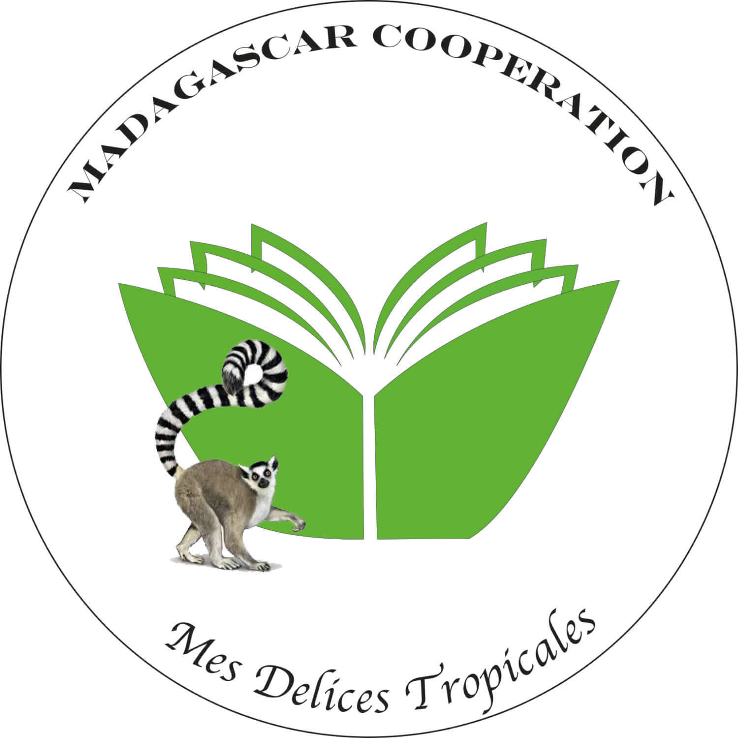logo_madagascar-cooperation